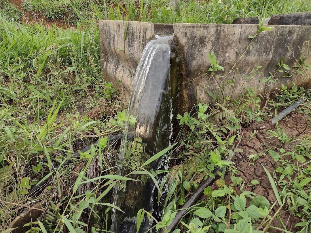 Sítio, 4 quartos, 100 m² - Foto 9