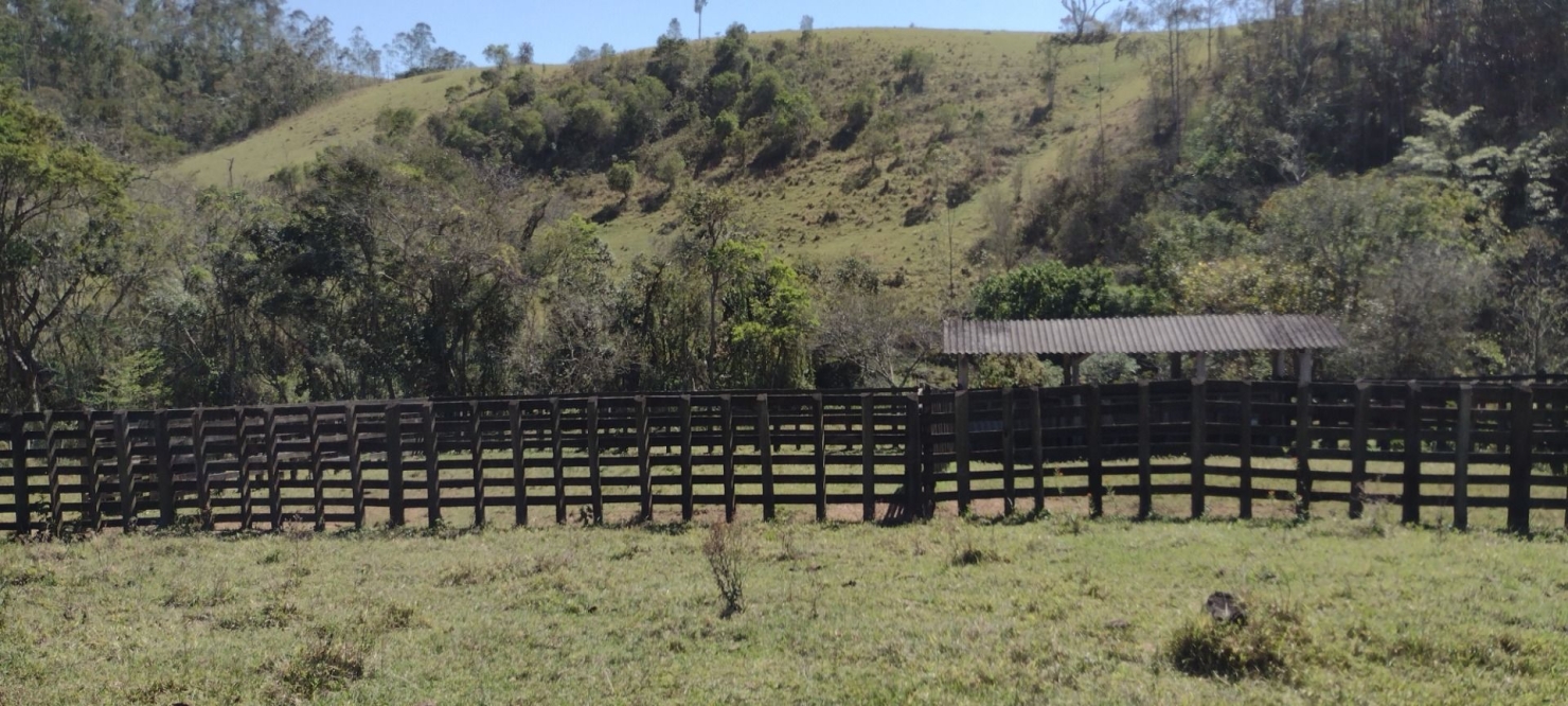 Fazenda-Sítio-Chácara, 254100 hectares - Foto 3