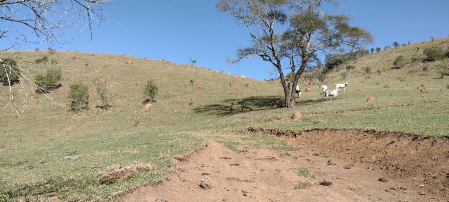 Fazenda-Sítio-Chácara, 254100 hectares - Foto 2
