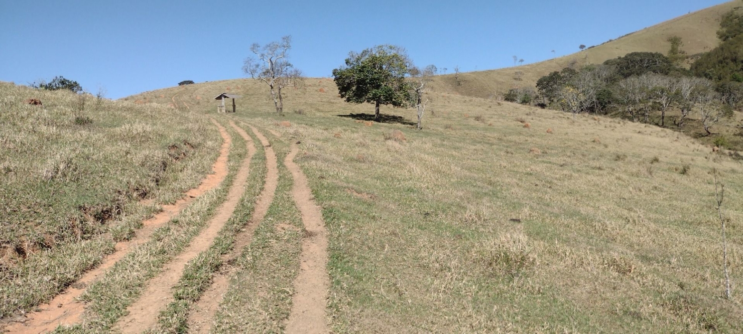 Fazenda-Sítio-Chácara, 254100 hectares - Foto 4