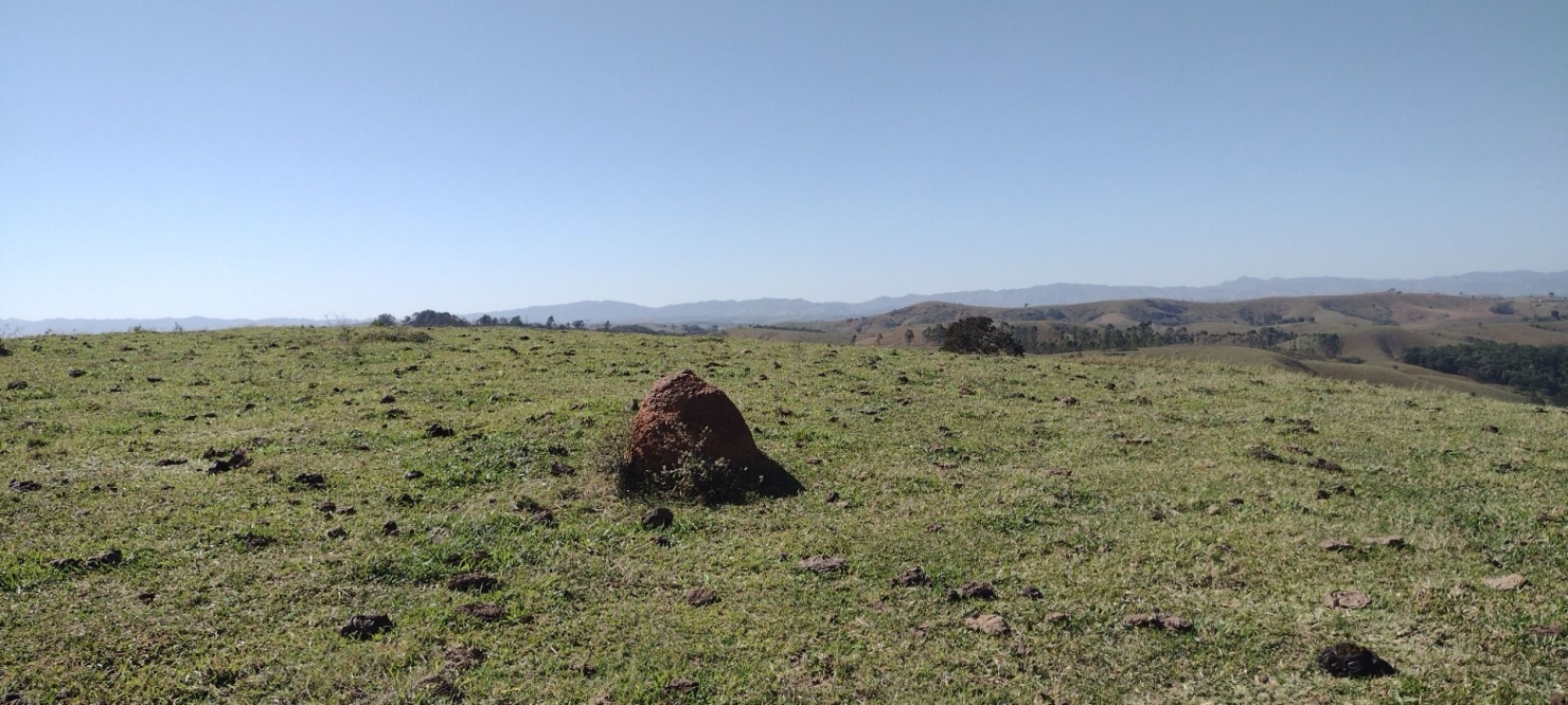 Fazenda em Guaratinguetá/São Paulo — Ref 0OP8NZ — Imagem 8