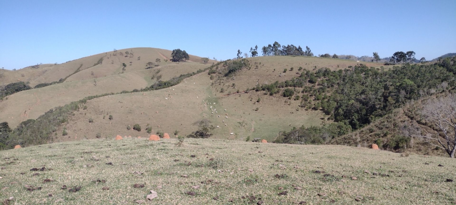 Fazenda em Guaratinguetá/São Paulo — Ref 0OP8NZ — Imagem 9