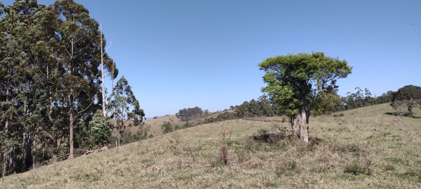 Fazenda em Guaratinguetá/São Paulo — Ref 0OP8NZ — Imagem 10