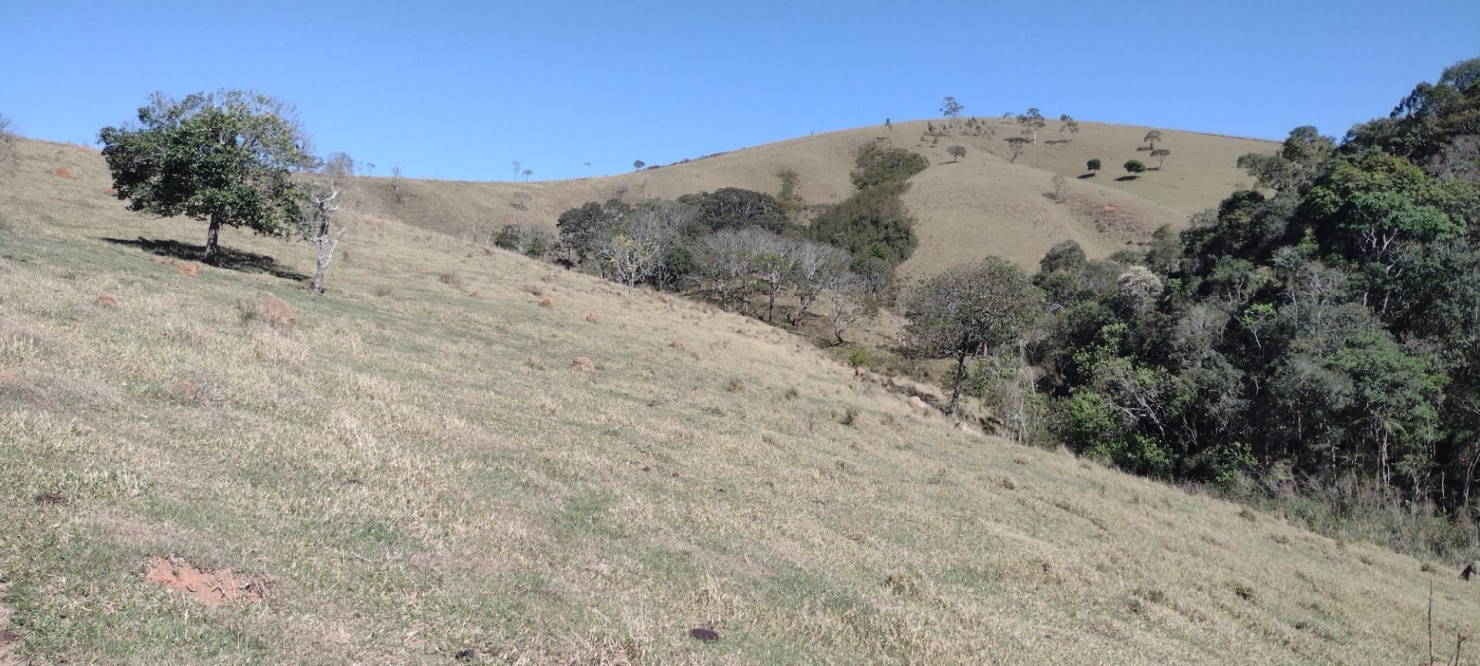Fazenda em Guaratinguetá/São Paulo — Ref 0OP8NZ — Imagem 11