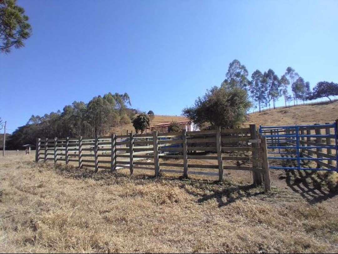 Sítio, 4 quartos, 100 m² - Foto 5