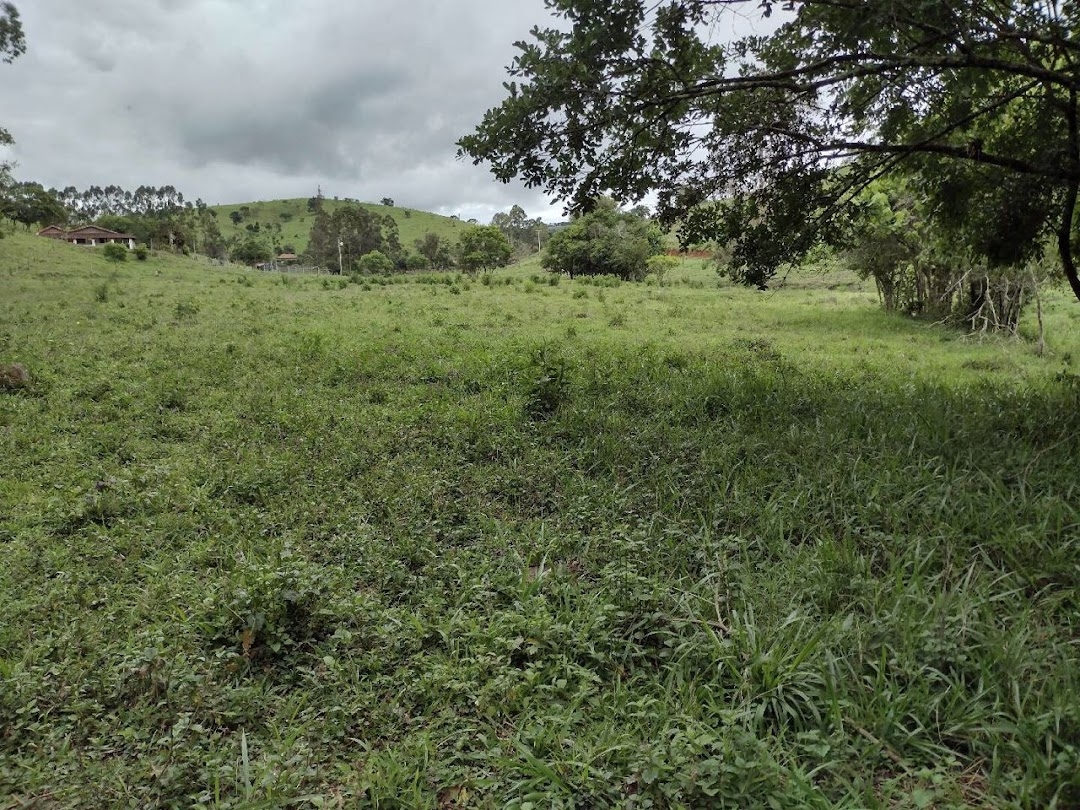 Sítio, 4 quartos, 100 m² - Foto 7