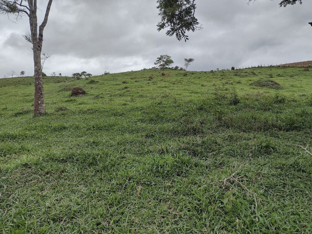 Sítio, 4 quartos, 100 m² - Foto 12