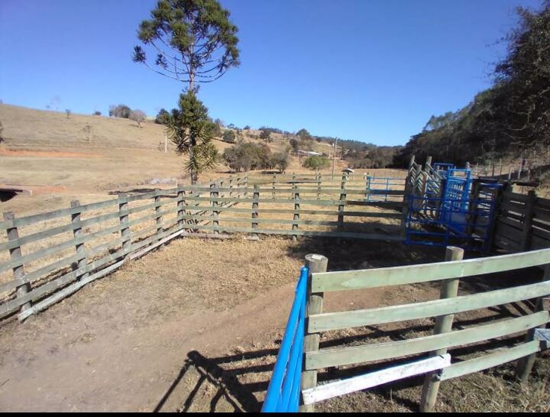 Sítio, 4 quartos, 100 m² - Foto 6