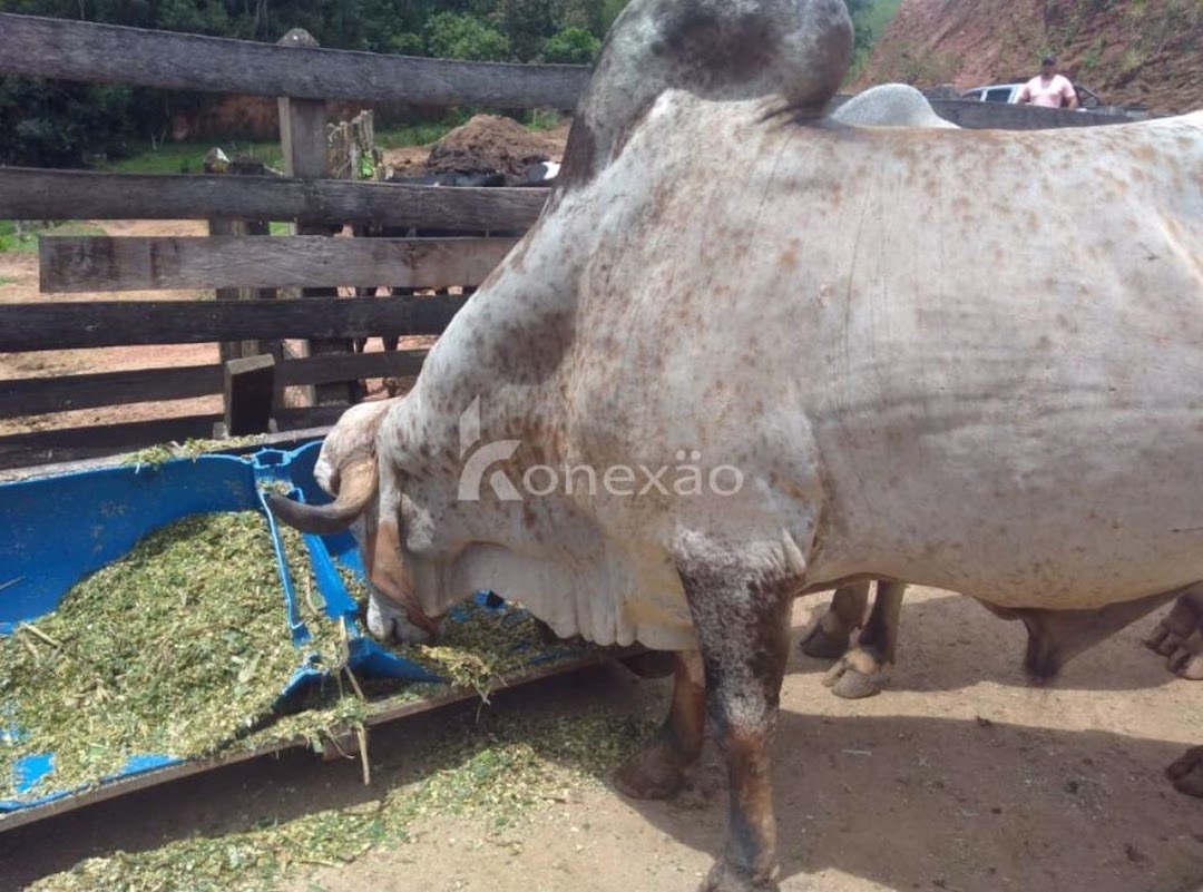 Fazenda em Cunha/São Paulo — Ref U2AQBF — Imagem 9