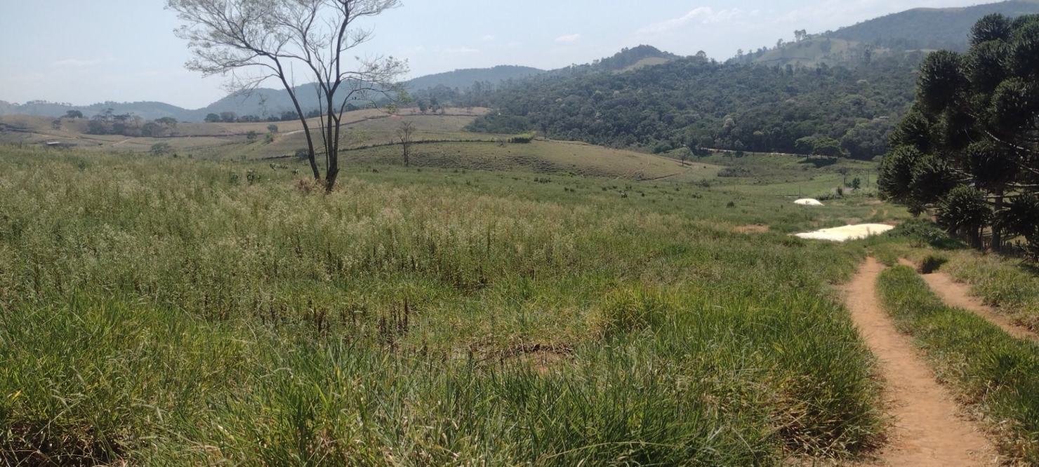 Fazenda, 150 m² - Foto 8