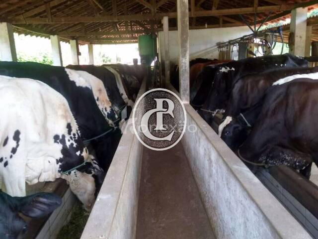 Fazenda para Venda em Cunha - 4
