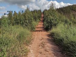 Fazenda para Venda em Guaratinguetá - 4
