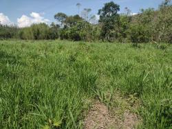 Fazenda para Venda em Guaratinguetá - 5