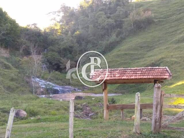 Venda em Macacos - Silveiras