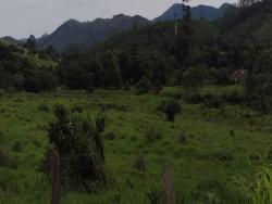 Fazenda para Venda em Guaratinguetá - 5