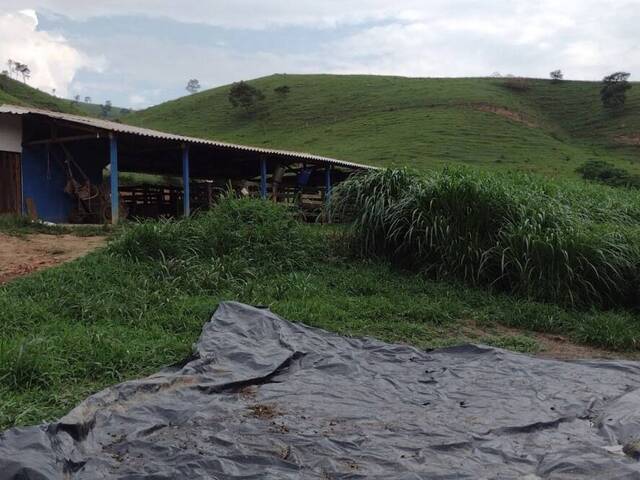 Chácara para Venda em Guaratinguetá - 4