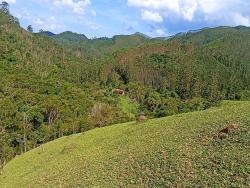 Sítio para Venda em Paraibuna - 2