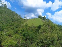 Sítio para Venda em Paraibuna - 3