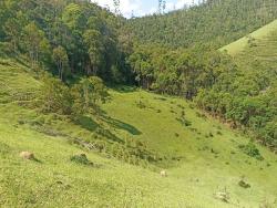 Sítio para Venda em Paraibuna - 5