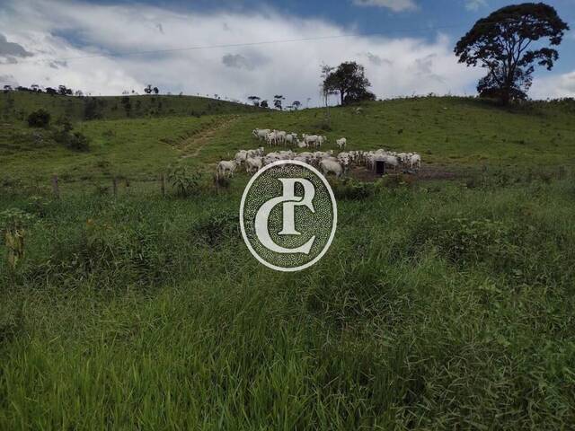 Venda em Aroeira - Guaratinguetá