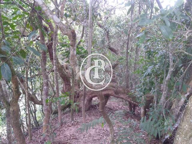 #43 - Sítio para Venda em São Luíz do Paraitinga - SP