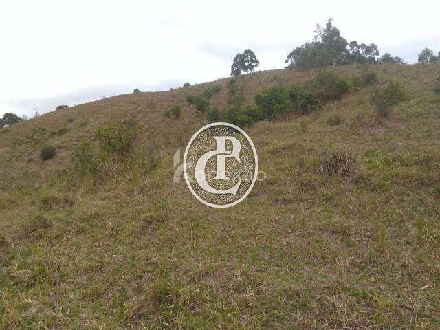 Sítio para Venda em São Luíz do Paraitinga - 4