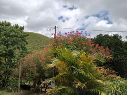 Sítio para Venda em São Luíz do Paraitinga - 4