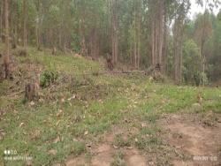 Sítio para Venda em Paraibuna - 3