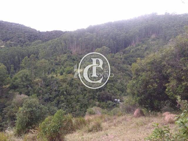 #43 - Sítio para Venda em São Luíz do Paraitinga - SP