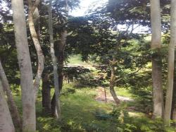 Chácara para Venda em São Luíz do Paraitinga - 5