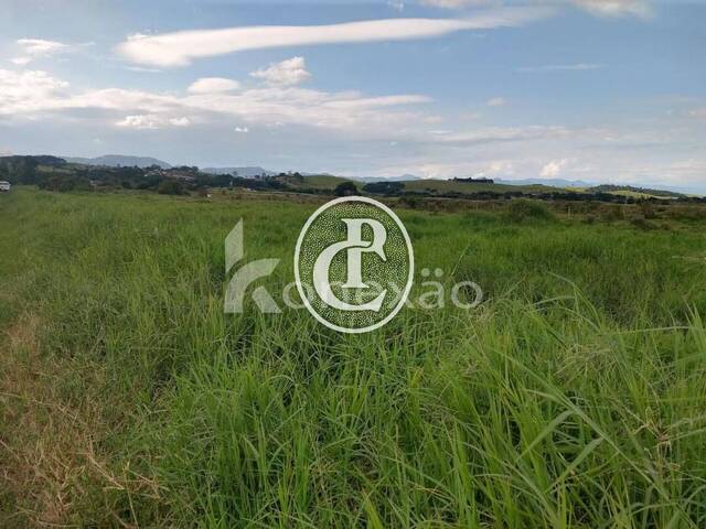 Sítio para Venda em Caçapava - 3