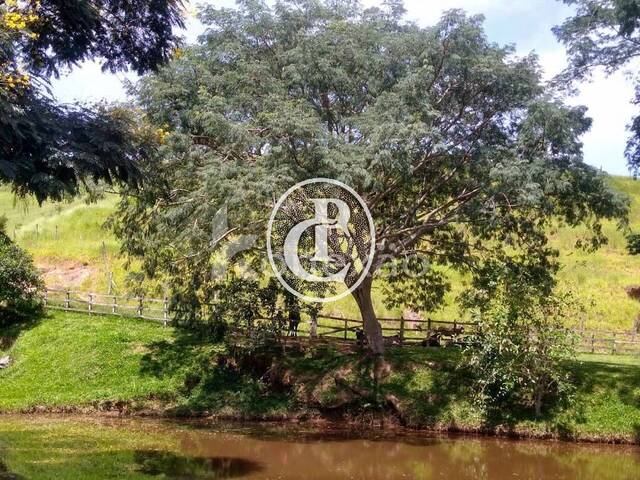 Sítio para Venda em Cunha - 3