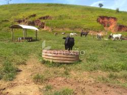 Sítio para Venda em Cunha - 5