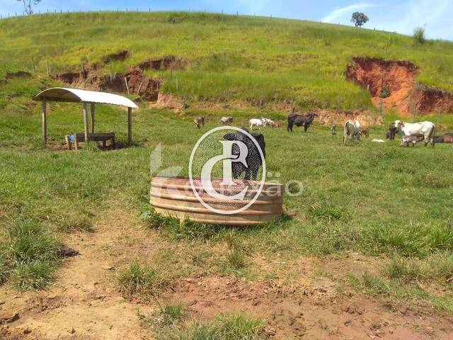 Sítio para Venda em Cunha - 5