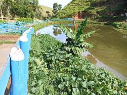 Fazenda para Venda em Paraibuna - 4