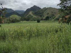 #673 - Fazenda para Venda em Cachoeira Paulista - SP