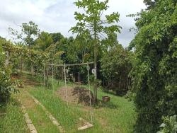 Chácara para Venda em Paraibuna - 3
