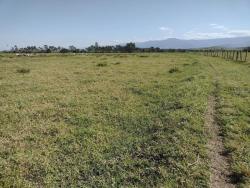 Fazenda para Venda em Guaratinguetá - 5