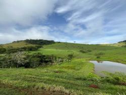 Fazenda para Venda em Leopoldina - 4