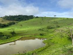 Fazenda para Venda em Leopoldina - 5
