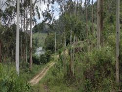 Sítio para Venda em São Luíz do Paraitinga - 4