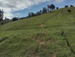Chácara para Venda em Lagoinha - 5