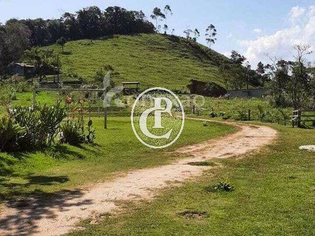 #55 - Sítio para Venda em Natividade da Serra - SP