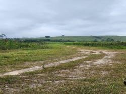 Sítio para Venda em Paraibuna - 2