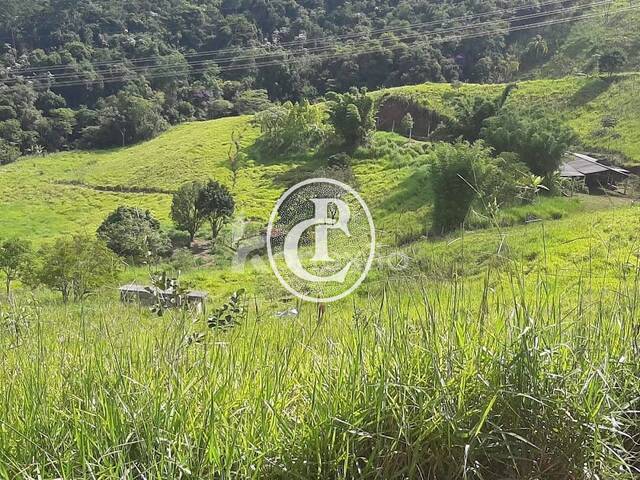 Sítio para Venda em Taubaté - 3