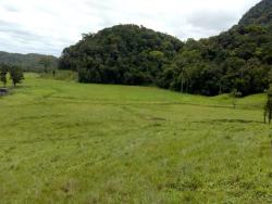 #147 - Fazenda para Venda em Miracatu - SP