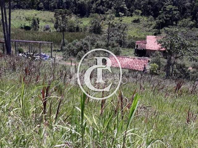 Sítio para Venda em Paraibuna - 3