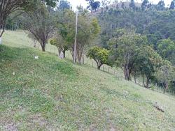 Fazenda para Venda em Salesópolis - 4