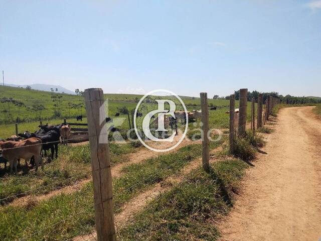 #63 - Fazenda para Venda em Caçapava - SP