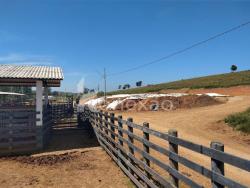#63 - Fazenda para Venda em Caçapava - SP
